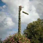 Abattage professionnel